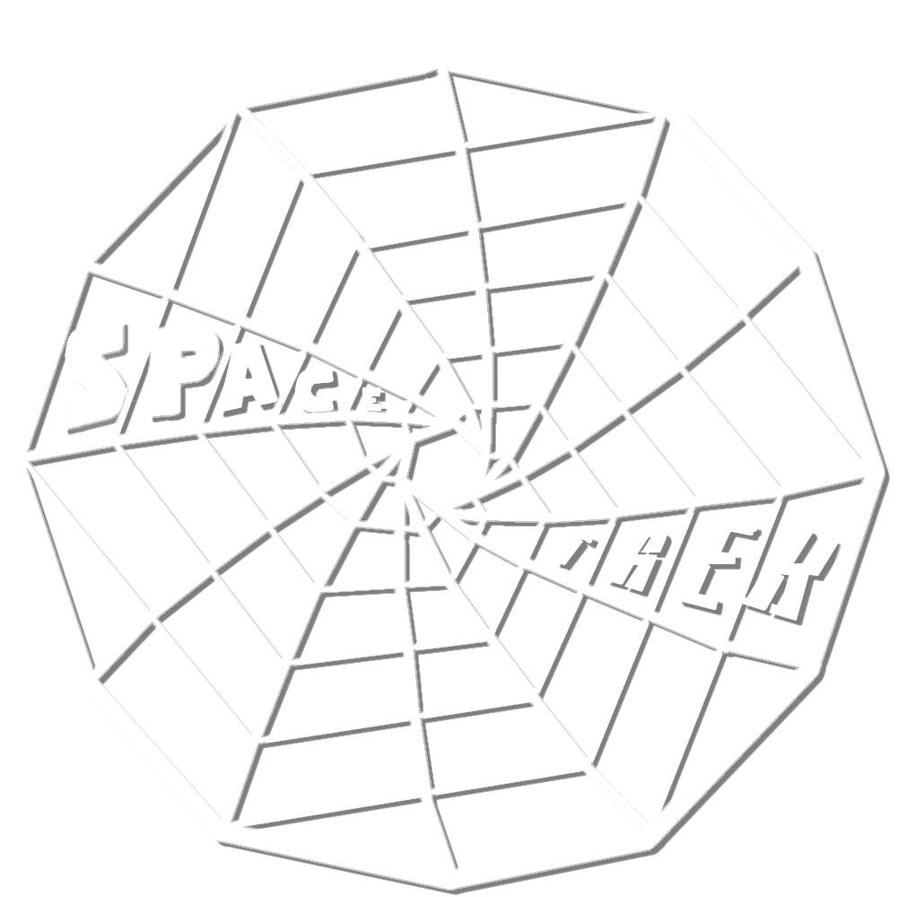 Das zwölfeckige Logo von Space Trek.